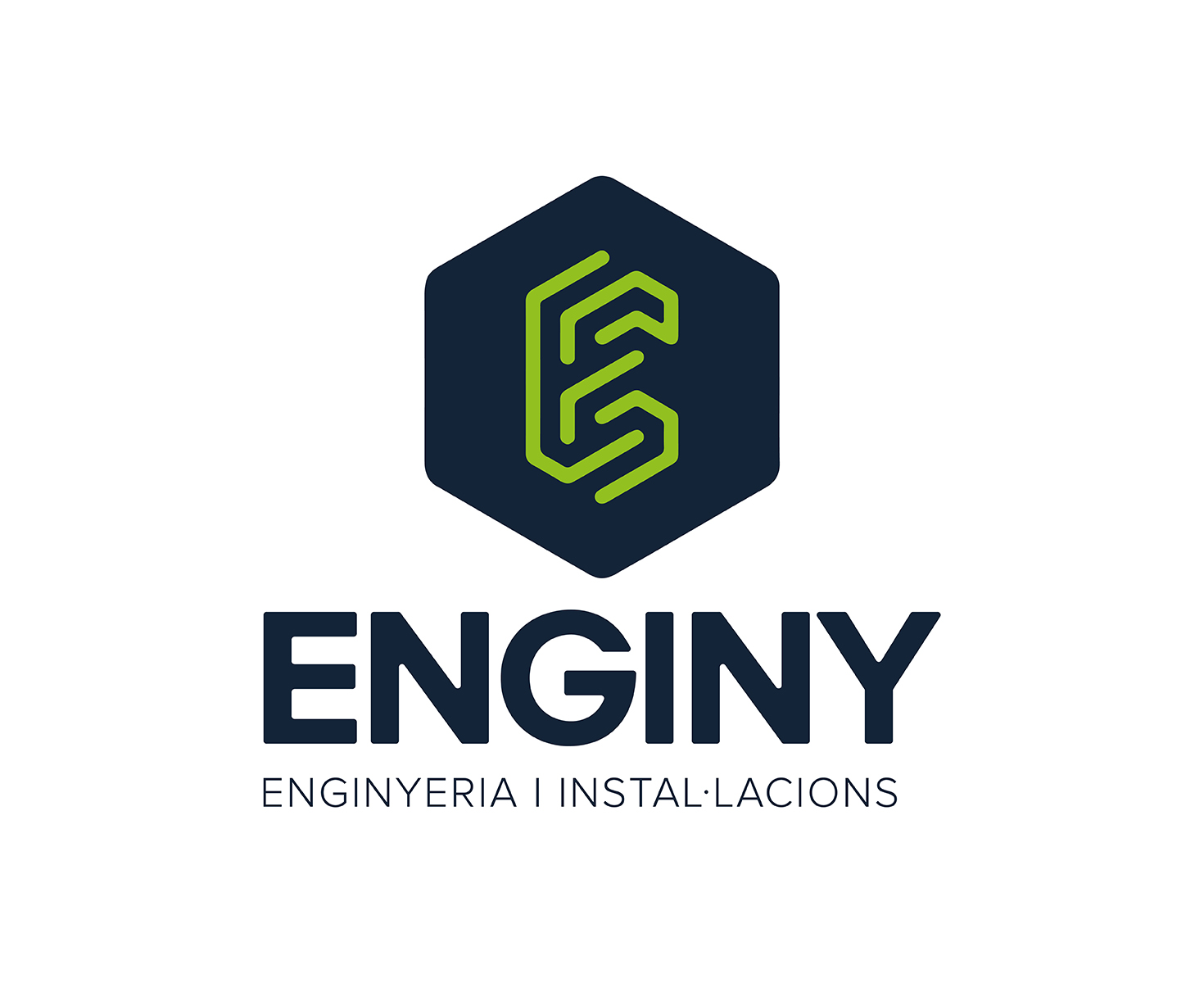 enginy_project