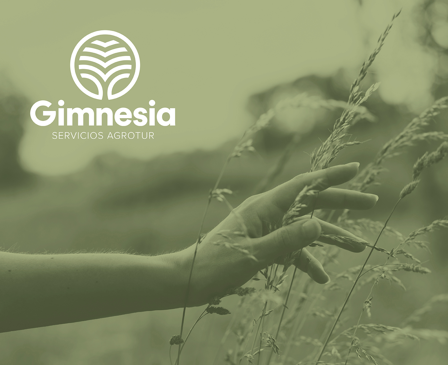 gimnesia_3